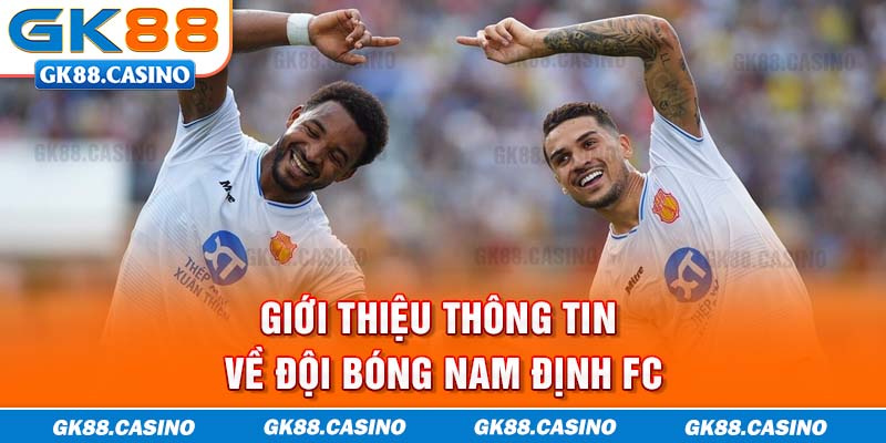 Giới thiệu thông tin về đội bóng Nam Định FC