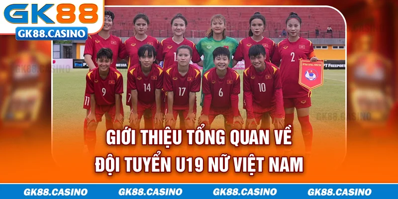 Giới thiệu tổng quan về đội tuyển U19 nữ Việt Nam